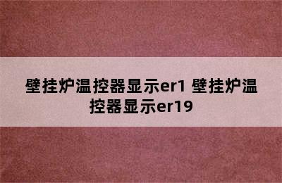 壁挂炉温控器显示er1 壁挂炉温控器显示er19